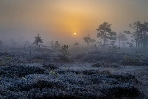 Misty Valley 4K Wallpaper · nature · 3840×2560