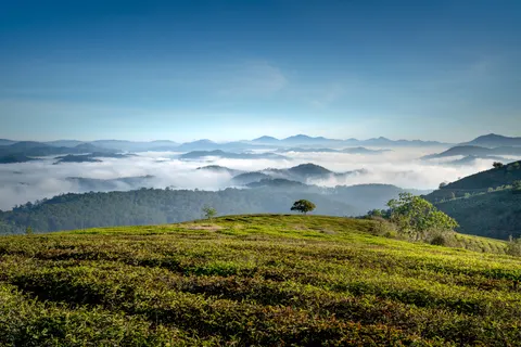 Misty Valley 4K Wallpaper · nature · 3840×2561