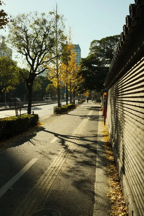 Tokyo Alley Phone Wallpaper · street · 1440×2161