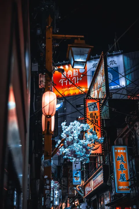 Tokyo Alley Phone Wallpaper · street · 1440×2160