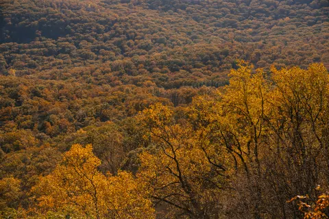 Autumn River 4K Wallpaper · nature · 3840×2560