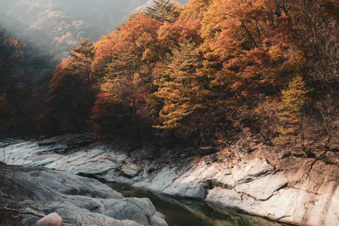 Papel de parede Rio de outono 4K · nature · 3840×2560