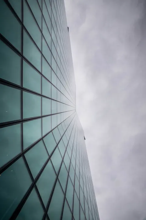Looking Up Phone Wallpaper · street · 1440×2160