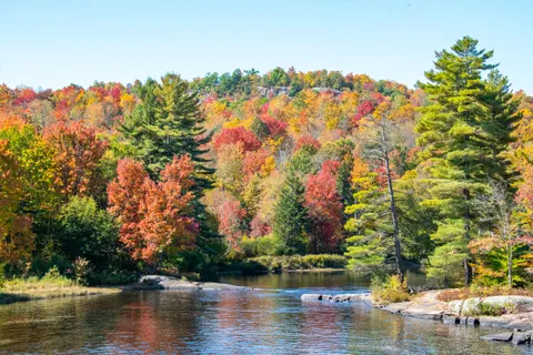 Autumn River 4K Wallpaper · nature · 3840×2560