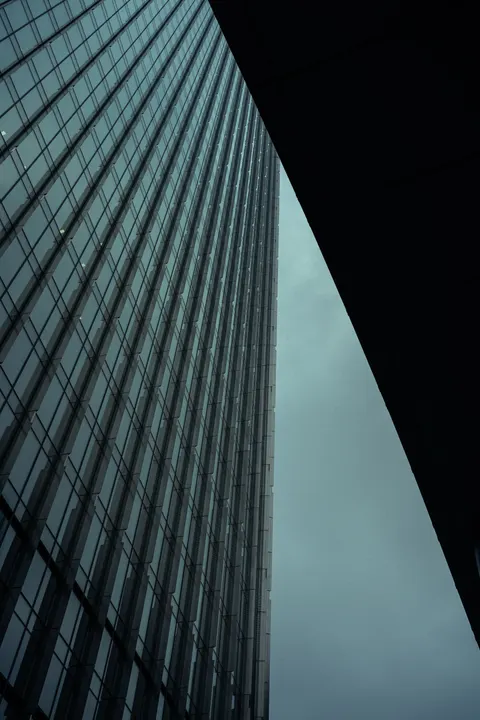 Looking Up Phone Wallpaper · street · 1440×2160