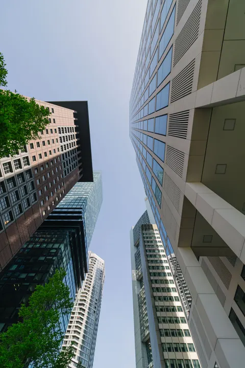 Looking Up Phone Wallpaper · street · 1440×2160
