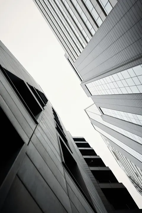 Looking Up Phone Wallpaper · street · 1440×2158