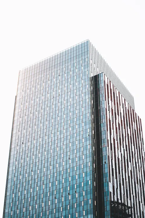Looking Up Phone Wallpaper · street · 1440×2160