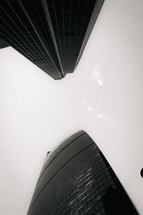 Looking Up Phone Wallpaper · street · 1440×2160