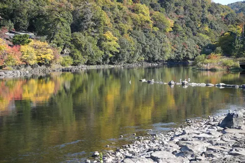 Sfondo Fiume in autunno 4K · nature · 3840×2560