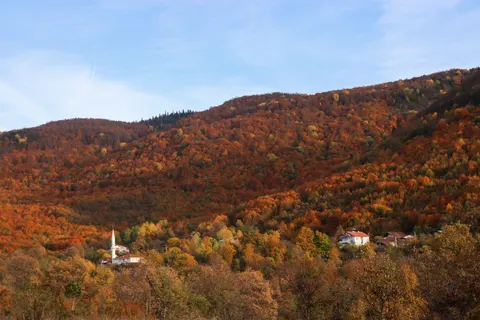 Autumn River 4K Wallpaper · nature · 3840×2560