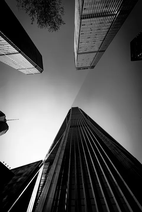 Looking Up Phone Wallpaper · street · 1440×2157