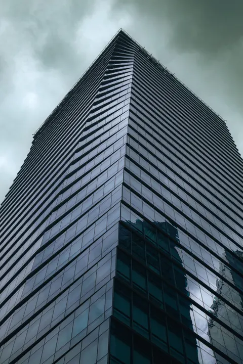 Looking Up Phone Wallpaper · street · 1440×2160