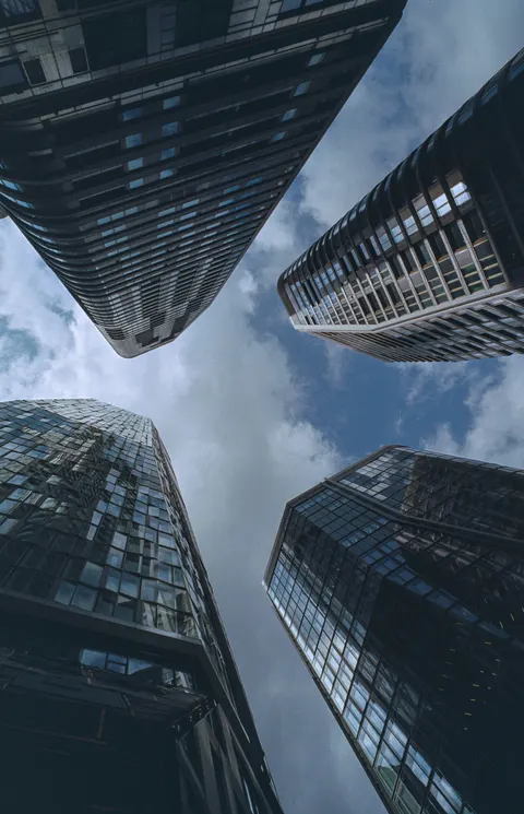 Looking Up Phone Wallpaper · street · 1440×2235