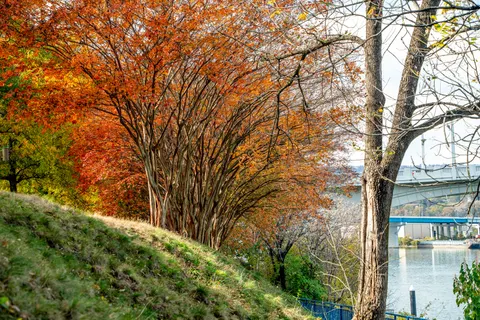 Обои Осенняя река 4K · nature · 3840×2561