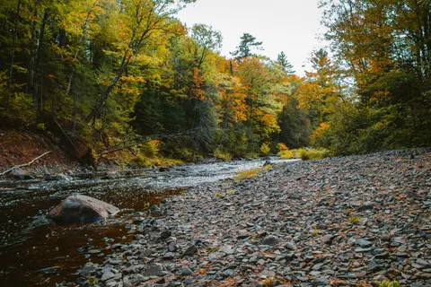Autumn River 4K Wallpaper · nature · 3840×2560