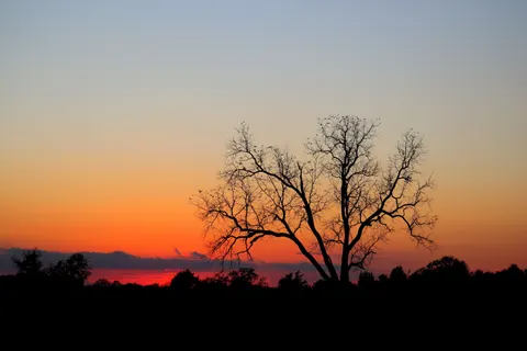 Savanna Sunset 4K Wallpaper · nature · 3840×2560