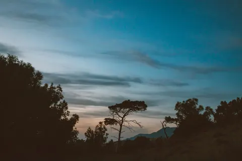 Savanna Sunset 4K Wallpaper · nature · 3840×2560