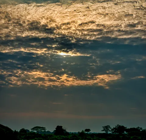 Savanna Sunset 4K Wallpaper · nature · 3840×3687
