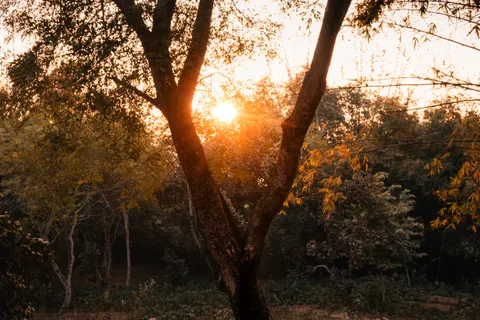 사바나 일몰 4K 배경화면 · nature · 3840×2560