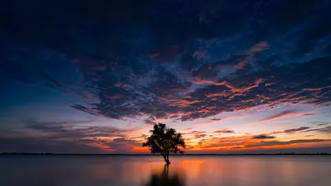 Savanna Sunset 4K Wallpaper · nature · 3840×2160