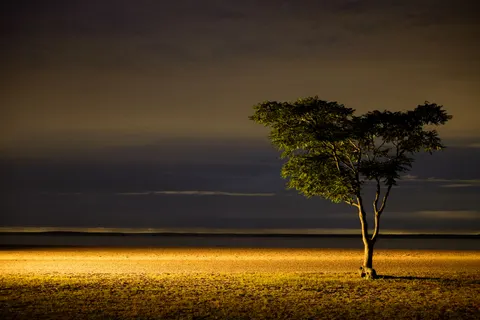 Savanna Sunset 4K Wallpaper · nature · 3840×2561