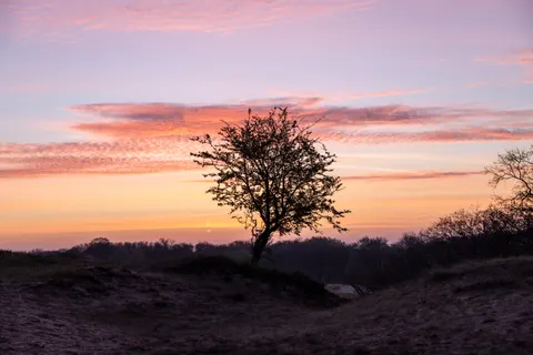 Savanna Sunset 4K Wallpaper · nature · 3840×2561