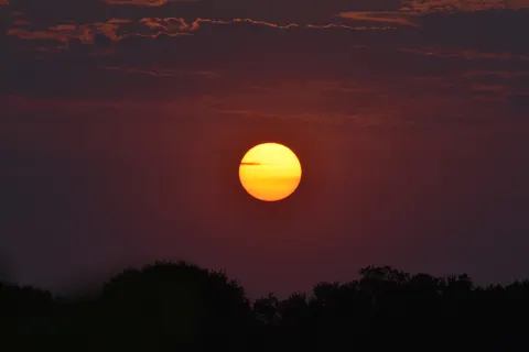 Savanna Sunset 4K Wallpaper · nature · 3840×2560