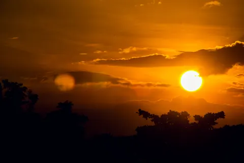 Savanna Sunset 4K Wallpaper · nature · 3840×2560