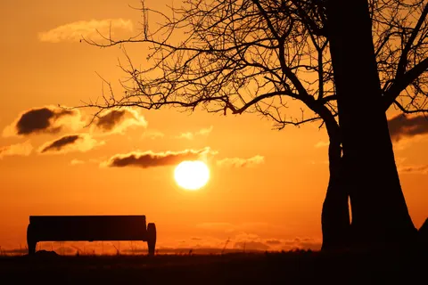 Savanna Sunset 4K Wallpaper · nature · 3840×2561