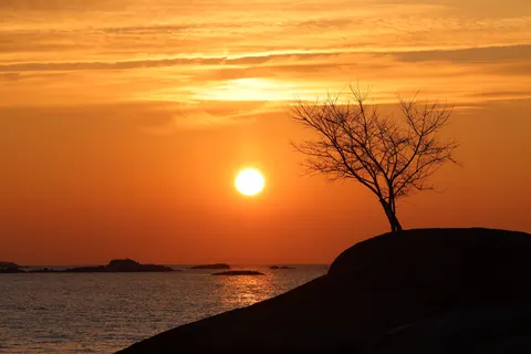Savanna Sunset 4K Wallpaper · nature · 3840×2561
