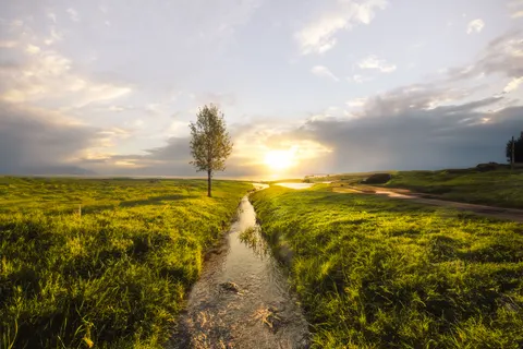 Savanna Sunset 4K Wallpaper · nature · 3840×2560
