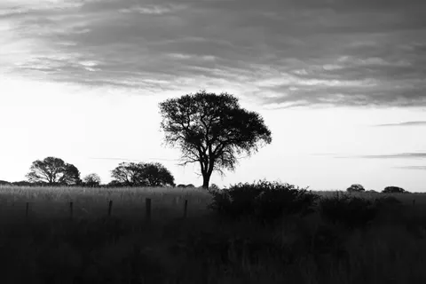 Savanna Sunset 4K Wallpaper · nature · 3840×2560