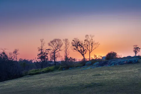 Savanna Sunset 4K Wallpaper · nature · 3840×2560