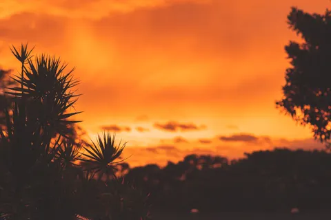 稀树草原日落 4K壁纸 · nature · 3840×2560