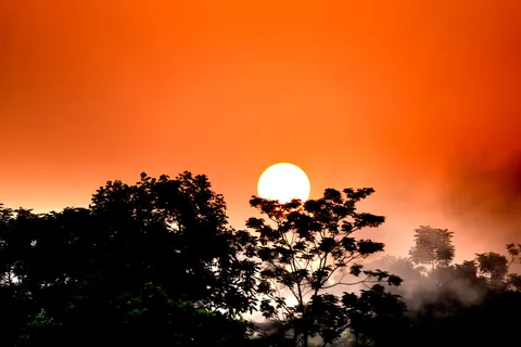 Savanna Sunset 4K Wallpaper · nature · 3840×2561