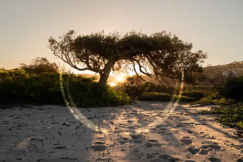 Savanna Sunset 4K Wallpaper · nature · 3840×2560