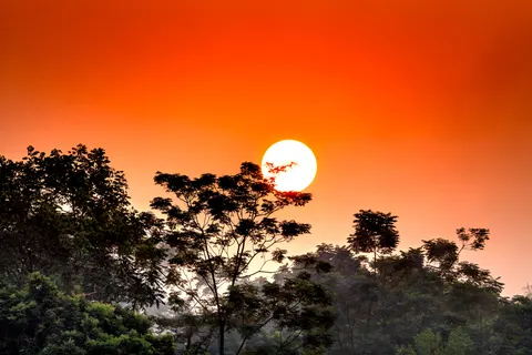 Savanna Sunset 4K Wallpaper · nature · 3840×2561