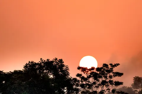 Papel de parede Pôr do sol na savana 4K · nature · 3840×2561