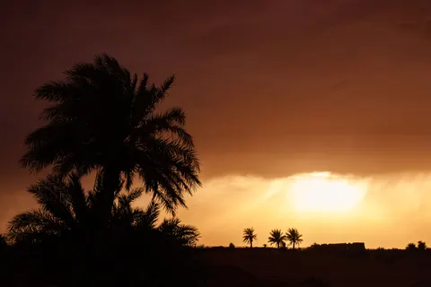 Savanna Sunset 4K Wallpaper · nature · 3840×2560