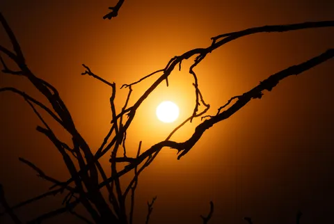 Savanna Sunset 4K Wallpaper · nature · 3840×2580