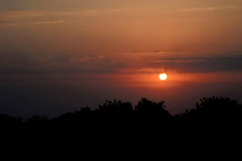 Savanna Sunset 4K Wallpaper · nature · 3840×2560