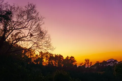Savanna Sunset 4K Wallpaper · nature · 3840×2560