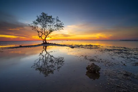 Savanna Sunset 4K Wallpaper · nature · 3840×2560