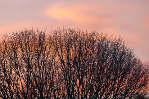 Savanna Sunset 4K Wallpaper · nature · 3840×2560