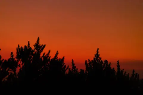 Savanna Sunset 4K Wallpaper · nature · 3840×2560