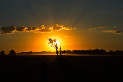 Savanna Sunset 4K Wallpaper · nature · 3840×2560