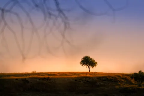 خلفية غروب السافانا بدقة 4K · nature · 3840×2560
