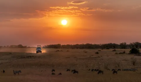 Savanna Sunset 4K Wallpaper · nature · 3840×2256
