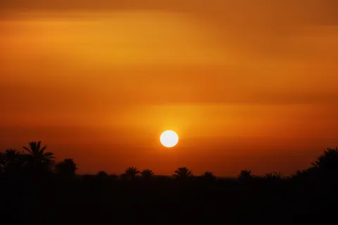 Savanna Sunset 4K Wallpaper · nature · 3840×2560